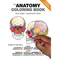 Anatomy Coloring Book- The
